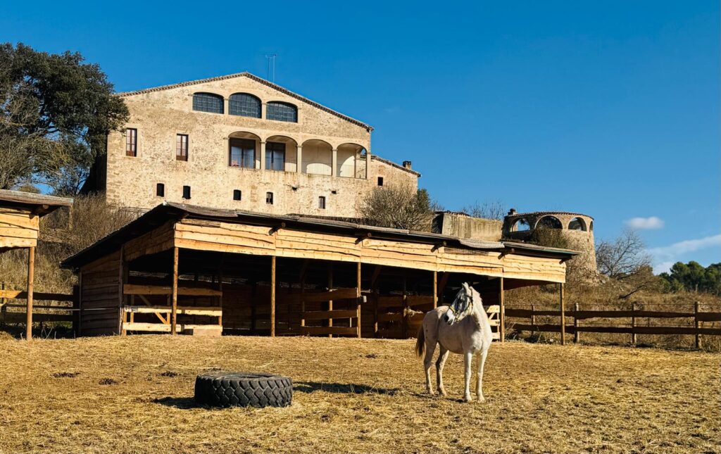 Caballo blanco en el paddock de una masía catalana de piedra con cuadras de madera, bajo un cielo azul despejado