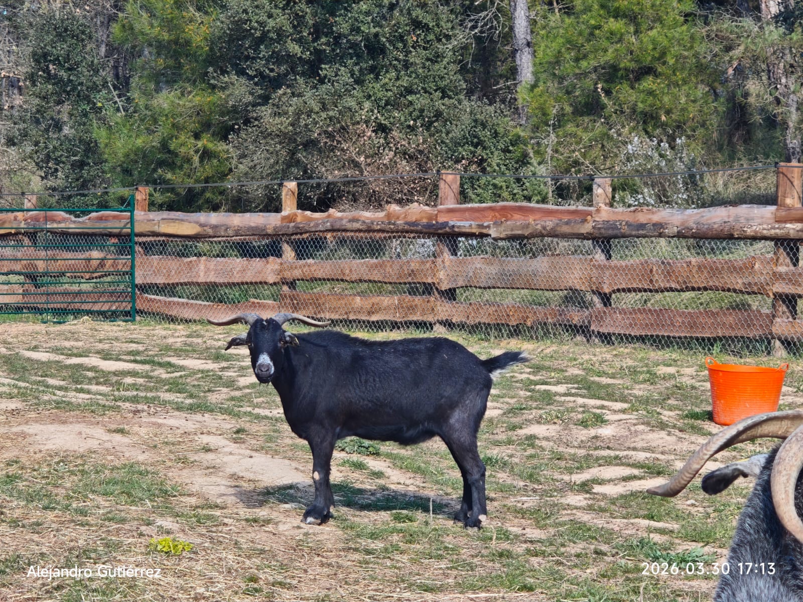 corneto